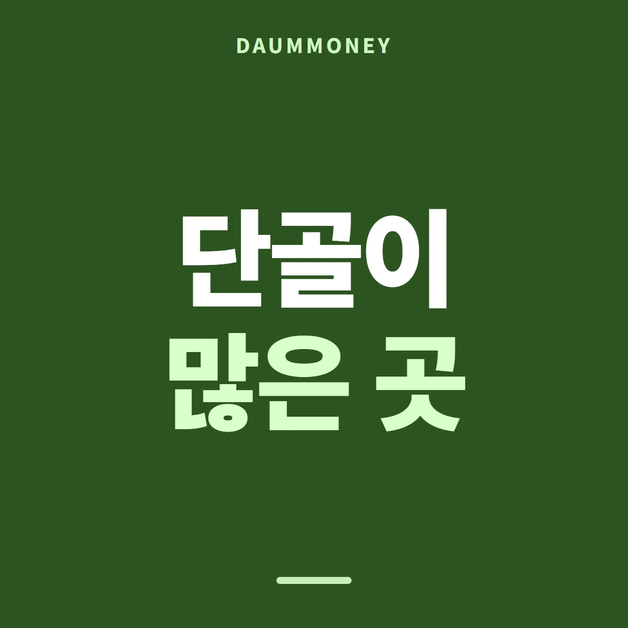 다음머니 삼성카드현금화 줄 이름 갈라 읽기 안내 카드 배너
